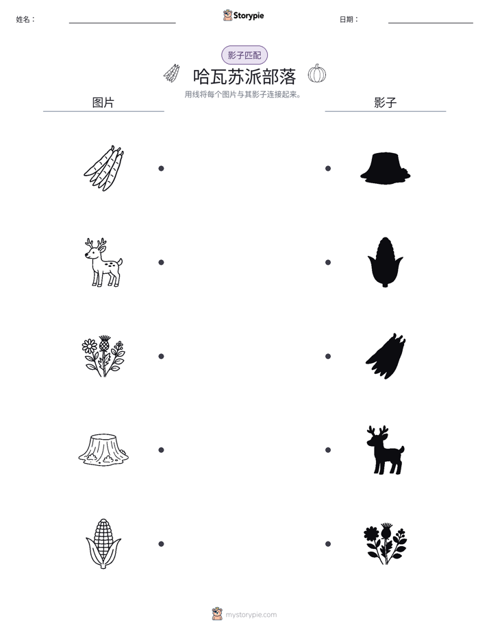 影子匹配