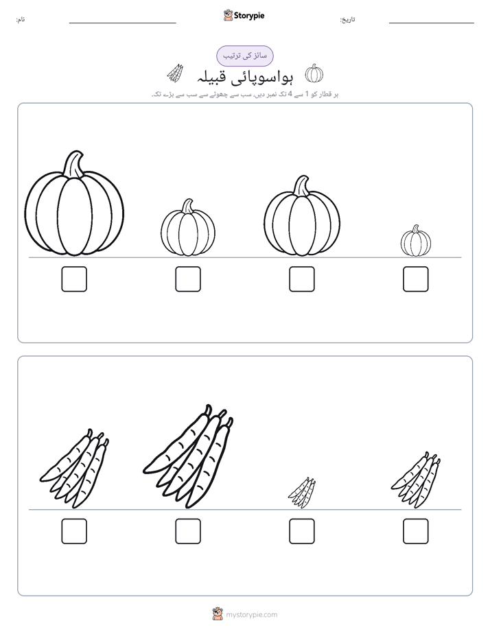 سائز کی ترتیب