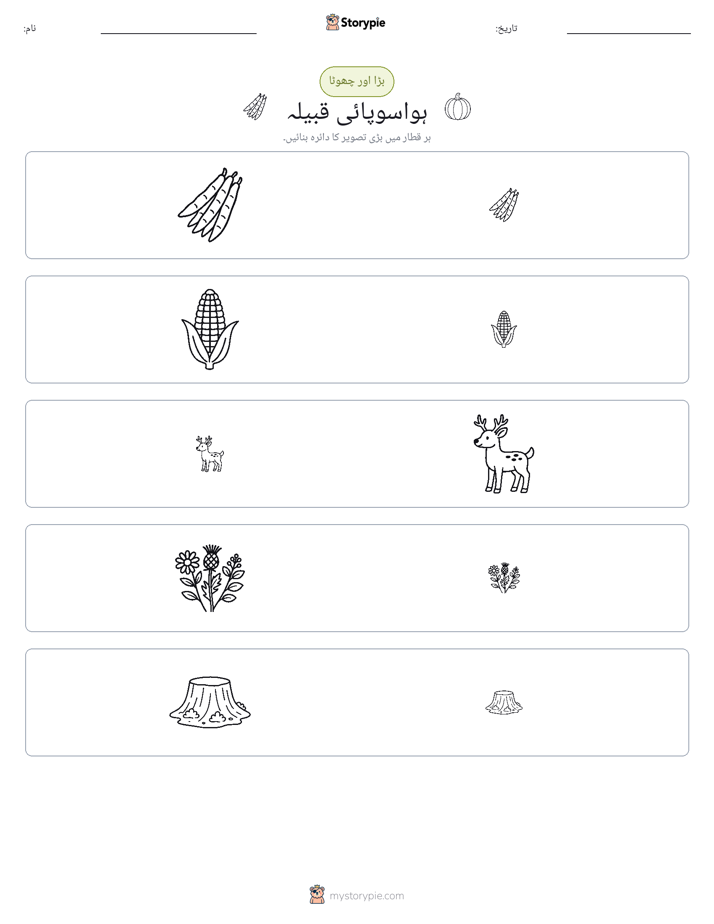 ترتیب دینا