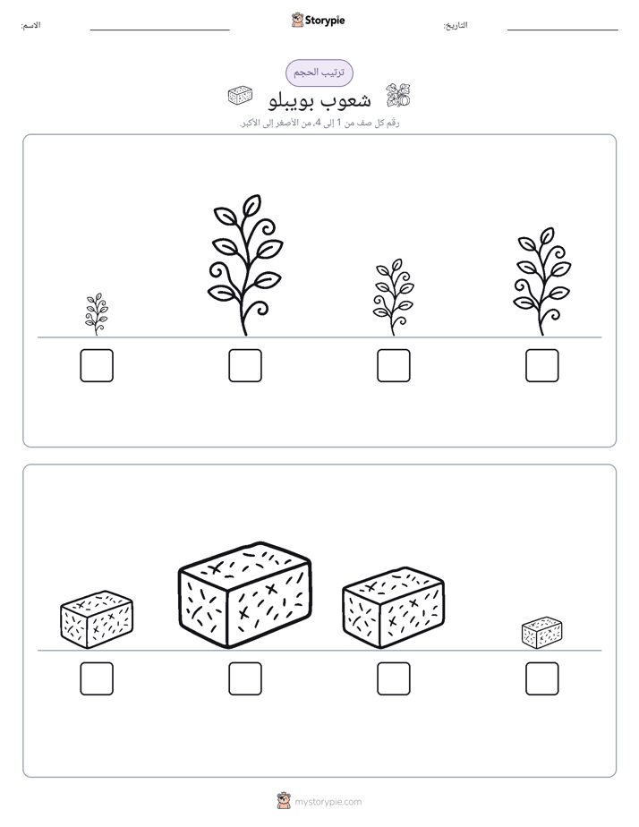 ترتيب الحجم