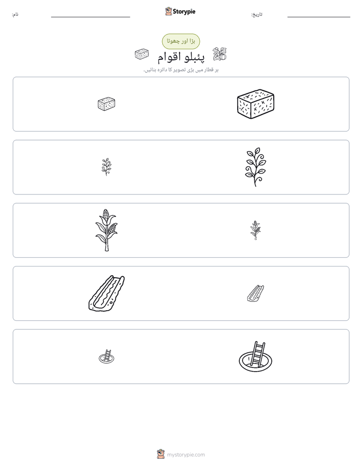 ترتیب دینا
