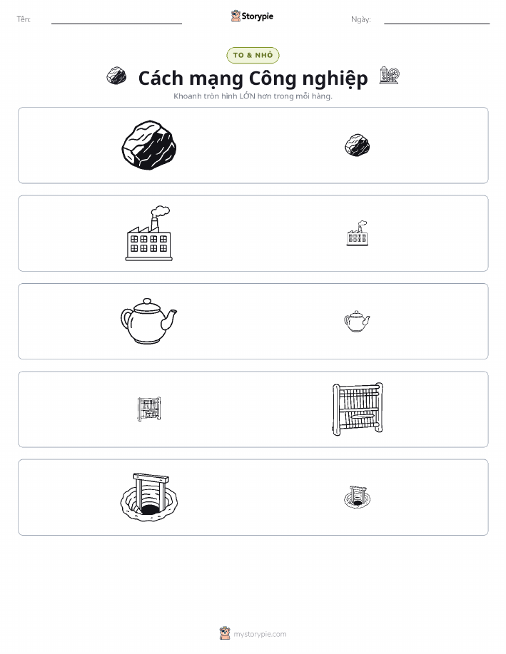Phân Loại