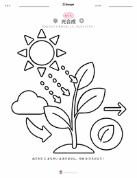 光合成 の子供向け塗り絵ページ