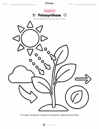 Fotosynthese kleurplaat voor kinderen