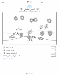 معاينة ورقة العمل القابلة للطباعة التمثيل الضوئي