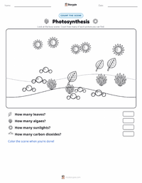 Photosynthesis printable worksheet preview