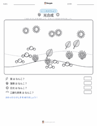 光合成 の印刷可能ワークシートプレビュー