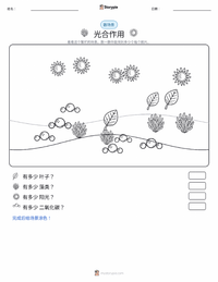 光合作用 可打印工作表预览