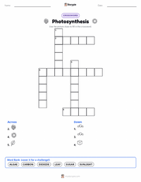 Photosynthesis printable worksheet preview