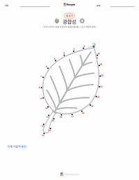 광합성 인쇄 가능한 워크시트 미리보기
