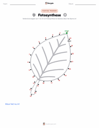 Fotosynthese afdrukbare werkblad voorbeeld