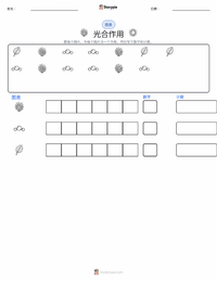 光合作用 可打印工作表预览