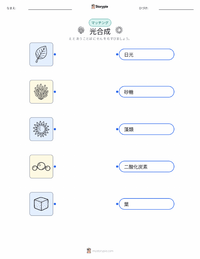 光合成 の子供向け印刷可能ワークシート