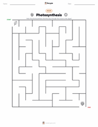 Photosynthesis printable worksheet preview