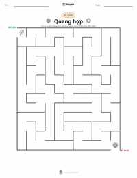 Xem trước tài liệu in sẵn Quang hợp