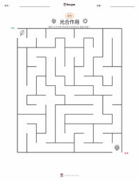 光合作用 可打印工作表预览
