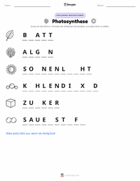 Photosynthese druckbare Arbeitsblatt Vorschau