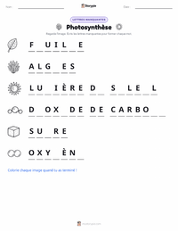 Aperçu de la feuille de travail imprimable Photosynthèse