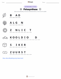 Fotosynthese afdrukbare werkblad voorbeeld