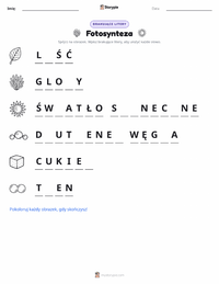 Podgląd drukowalnego arkusza ćwiczeń Fotosynteza