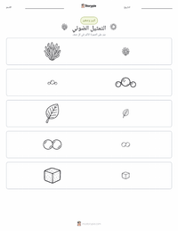 معاينة ورقة العمل القابلة للطباعة التمثيل الضوئي
