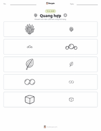 Xem trước tài liệu in sẵn Quang hợp
