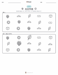 光合作用 可打印工作表预览
