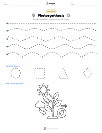 Photosynthesis printable worksheet preview
