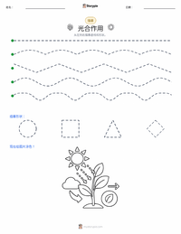 光合作用 可打印工作表预览