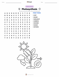 Photosynthesis printable worksheet preview