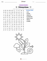 Podgląd drukowalnego arkusza ćwiczeń Fotosynteza