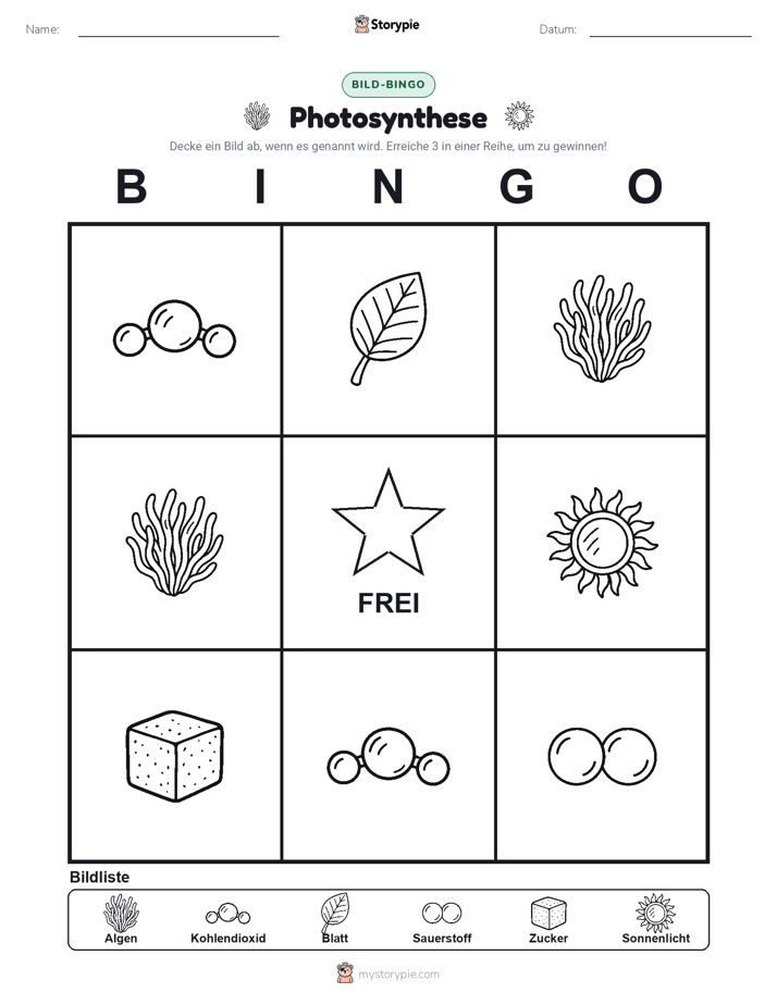 Bild-Bingo