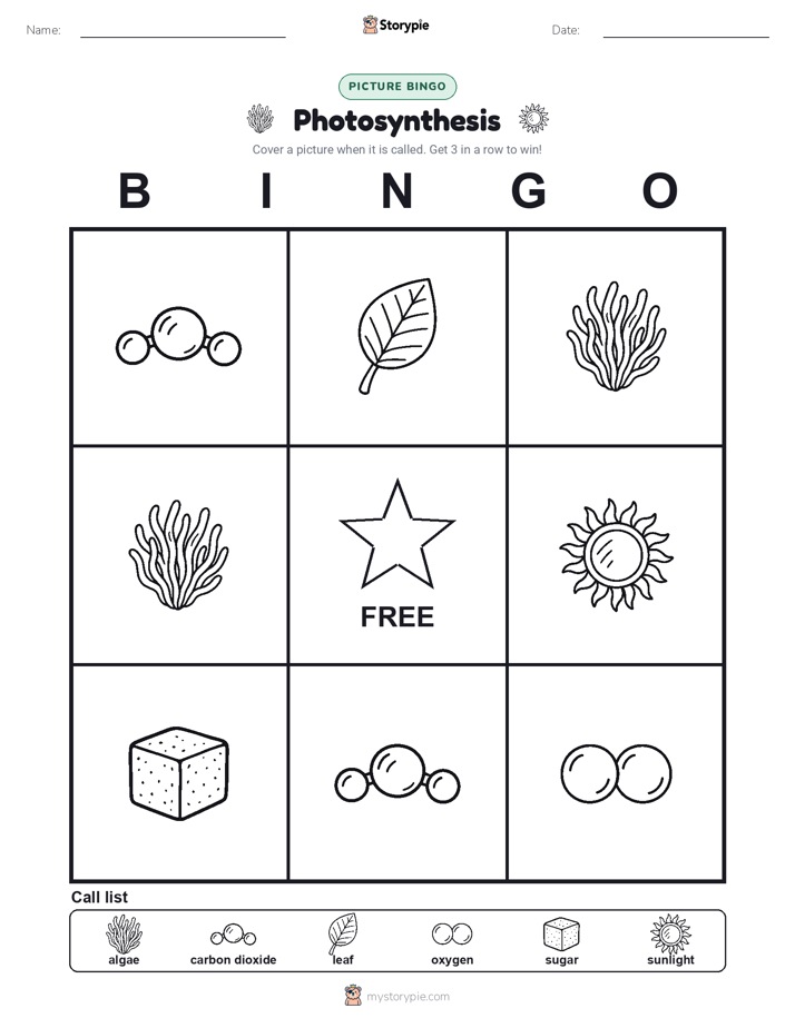 Picture Bingo
