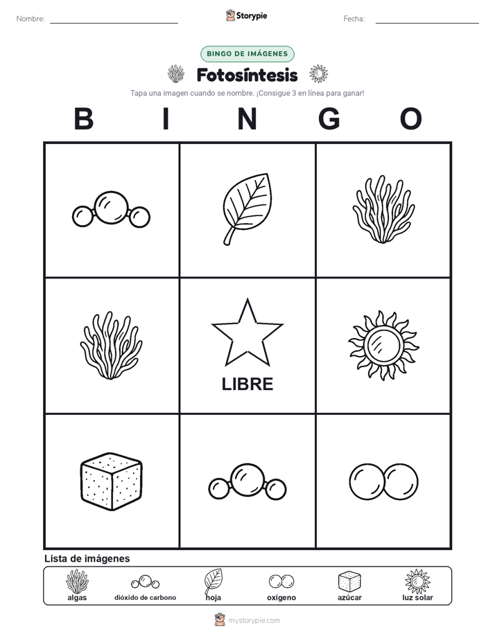 Bingo de Imágenes