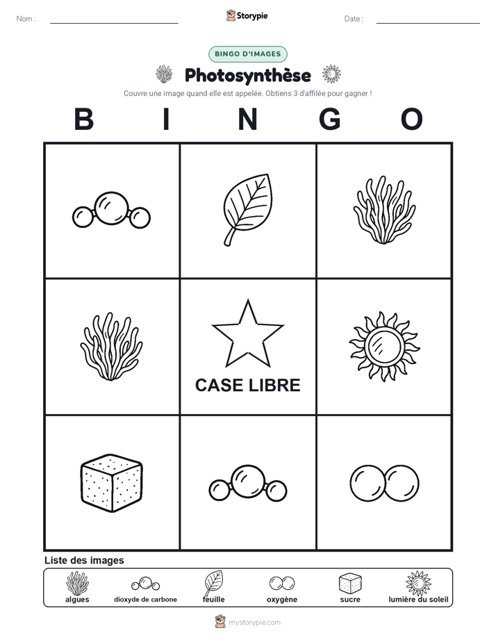 Bingo d'Images