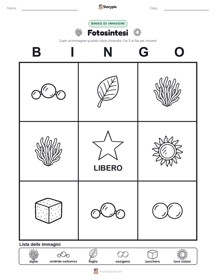Bingo delle Immagini