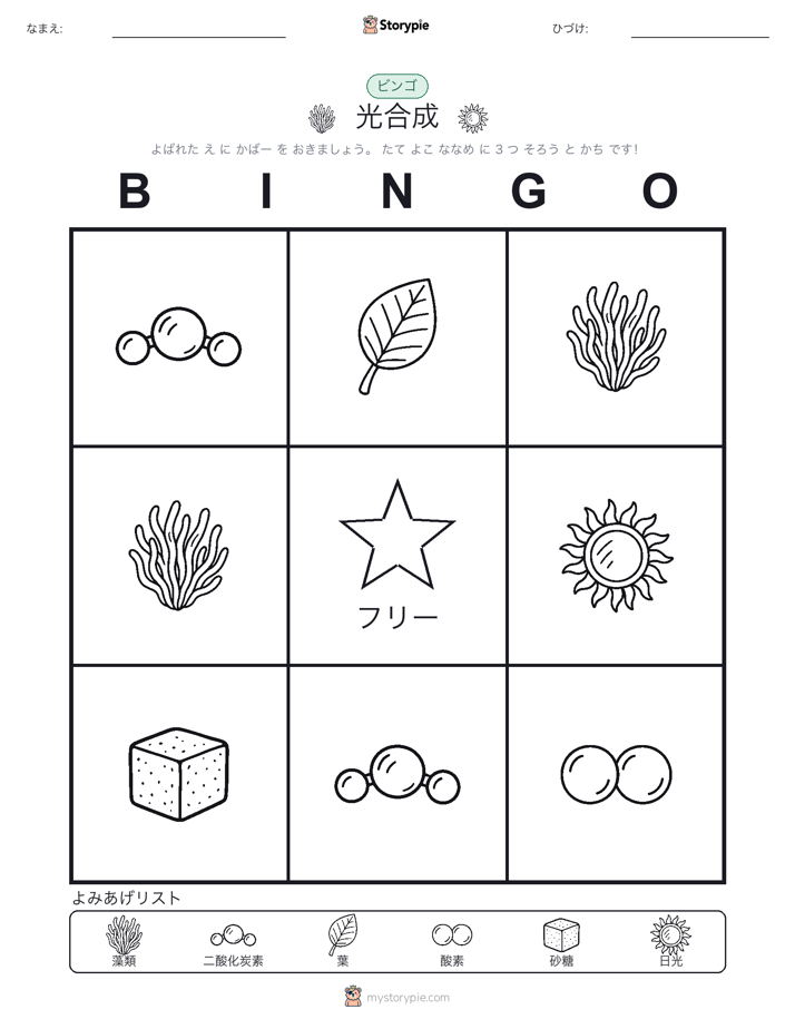 ピクチャービンゴ