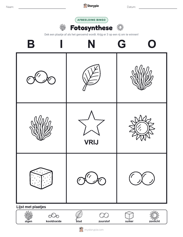 Afbeelding Bingo