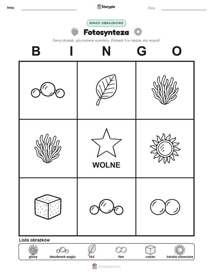 Bingo obrazkowe