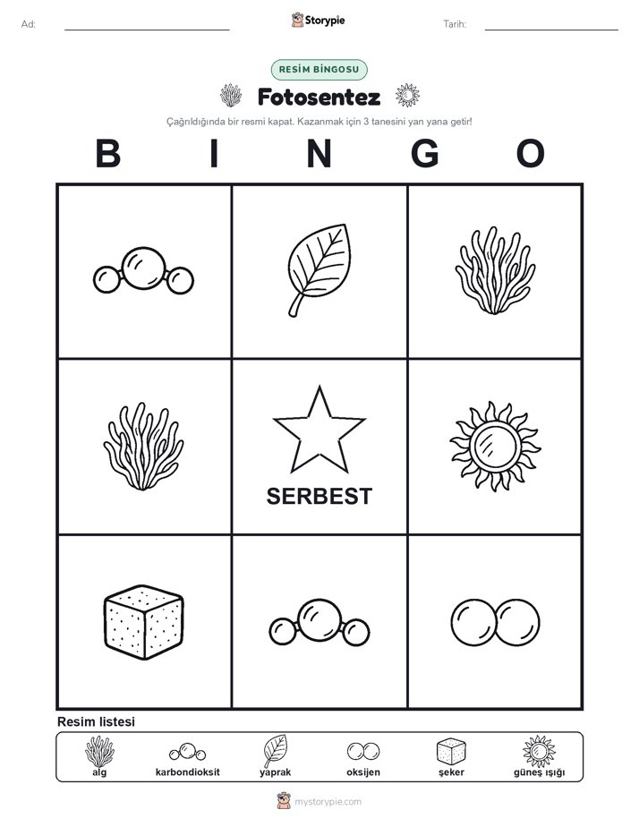 Resim Bingo