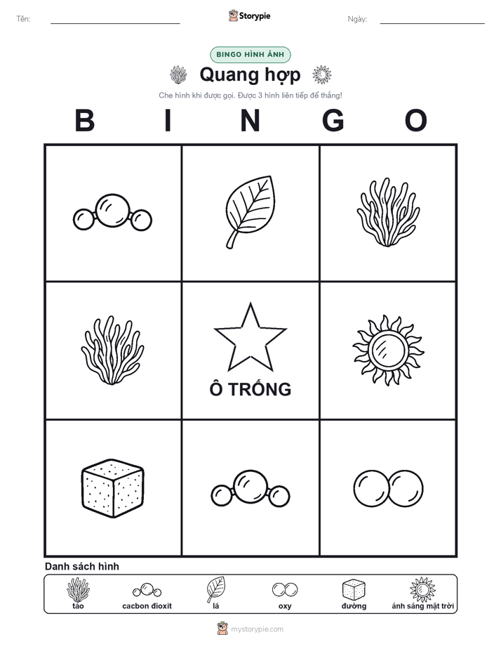 Bingo Hình Ảnh