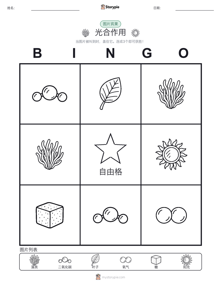 图片宾果