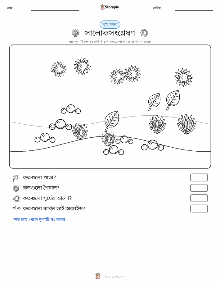 গণনা দৃশ্য