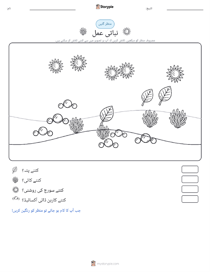 گنتی کا منظر