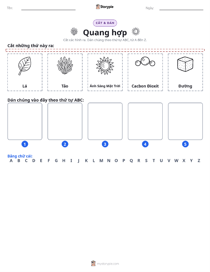 Cắt & Dán Chữ Cái
