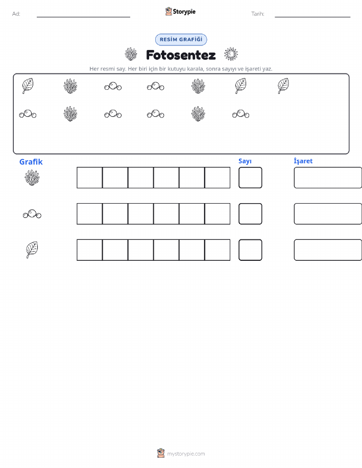 Say & Grafik