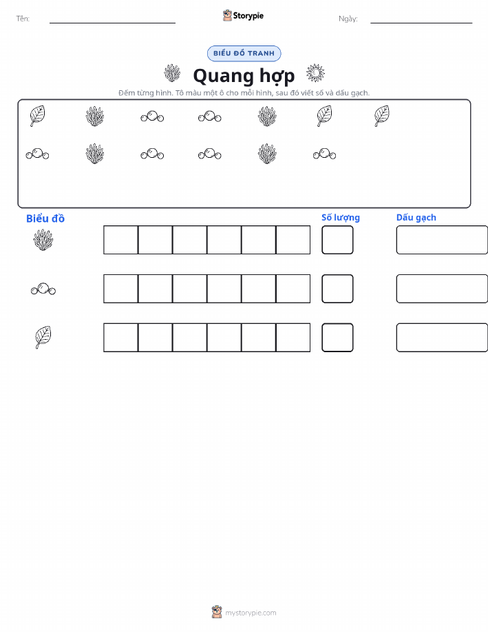Đếm & Vẽ Biểu Đồ