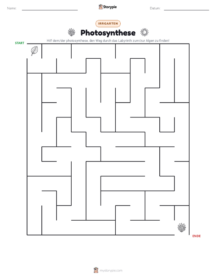 Labyrinth