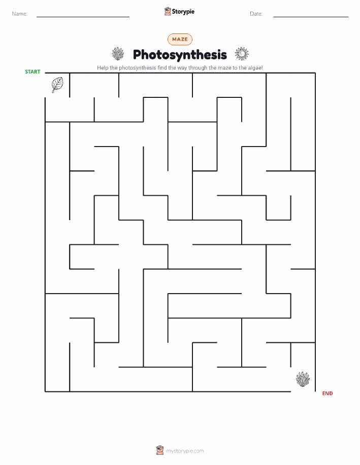 Maze