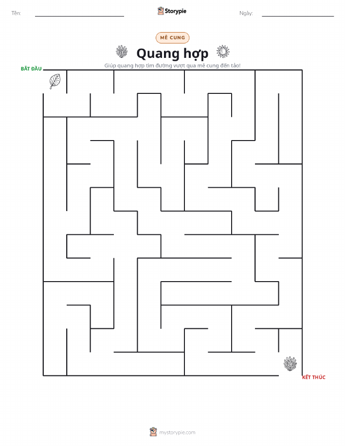 Mê Cung